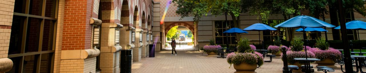 Drone shot of campus in the fall, featuring changing trees and the little Blue Mac bridge